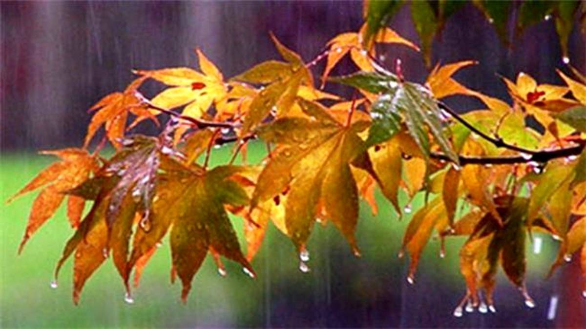 افزایش ۲۰ درصدی بارشهای زمستانی/ سدها همچنان درگیر ناهنجاری شدید آبی